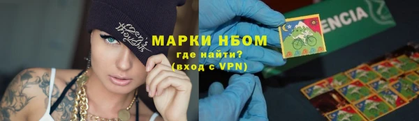 гашик Каменногорск