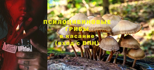 СК Карпинск
