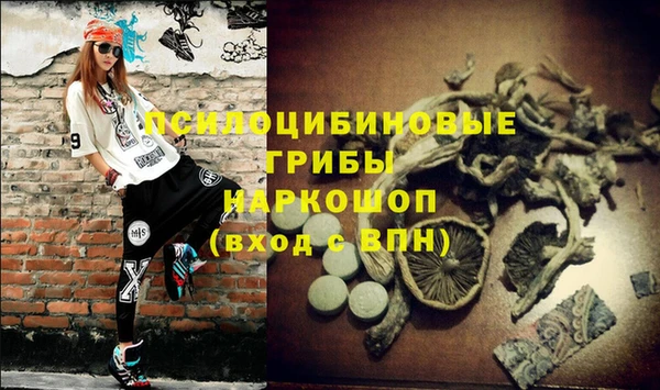 СК Карпинск