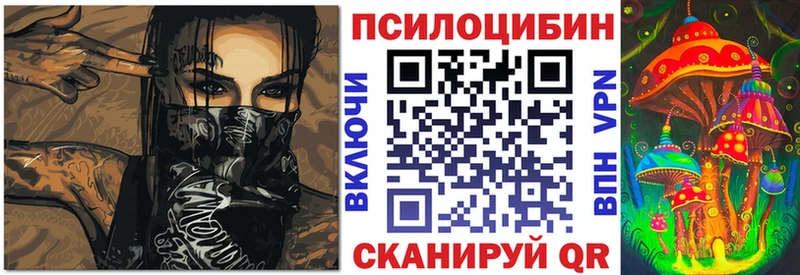 ссылка на мегу tor  Харовск  Галлюциногенные грибы Psilocybe  дарнет шоп 